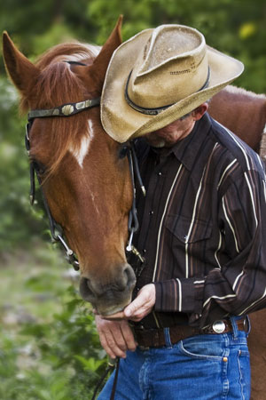 Cowboy feeding horse